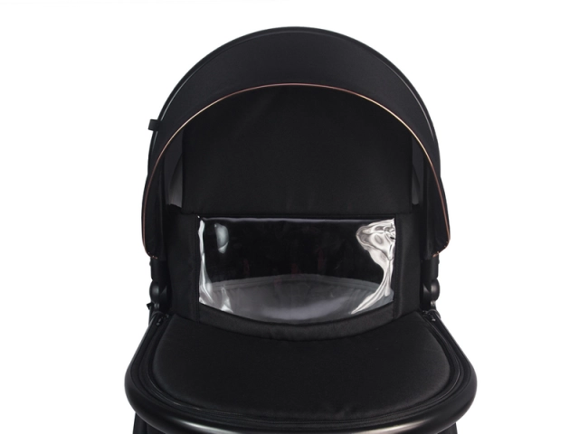 Celia Premium - a pram with a windproof cover